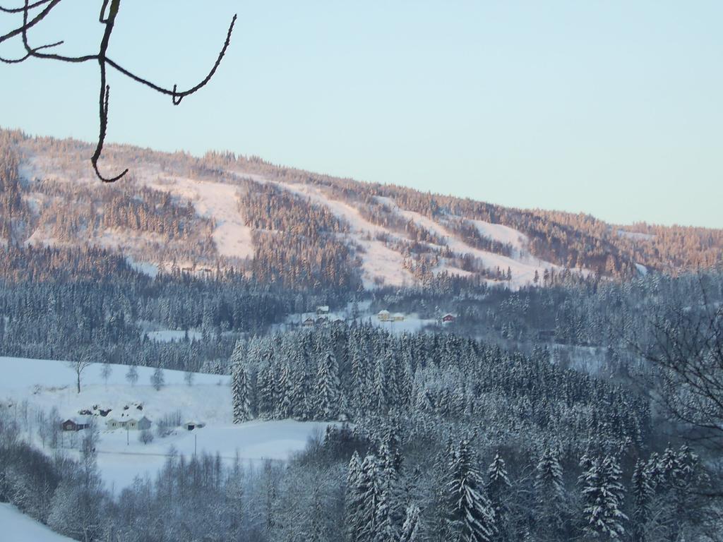 Sogn Gjestegard Svarstad  Oda fotoğraf