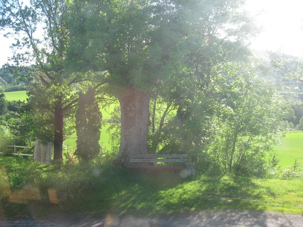 Sogn Gjestegard Svarstad  Oda fotoğraf