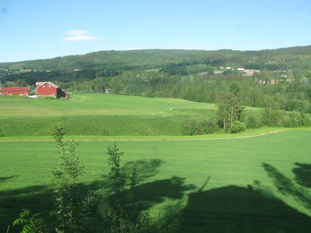 Sogn Gjestegard Svarstad  Oda fotoğraf